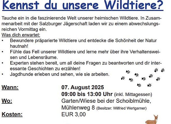 Ferienpass Bad Wimsbach-Neydharting