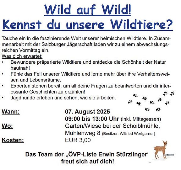 Bad Wimsbach-Neydharting