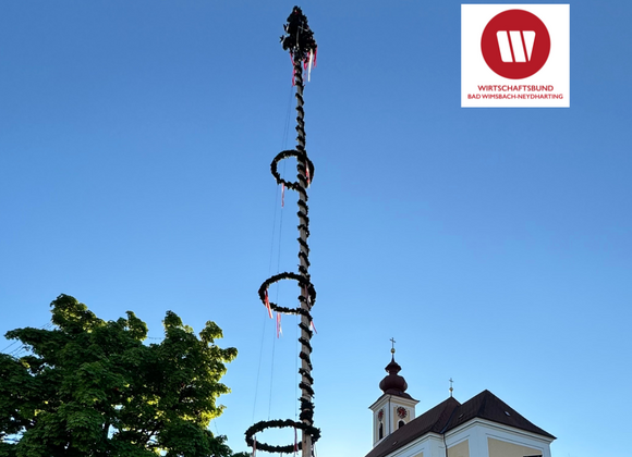 Wirtschaftsbund Wels-Land